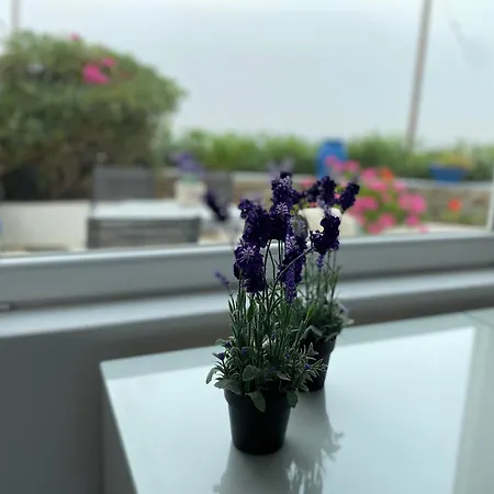 Aegean Bliss - Stylish In Agios Stefanos